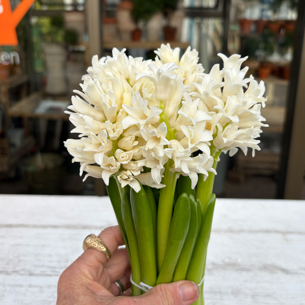Playful mix of color and shape from Wild Beauty by Wild Beauty Floral Design
