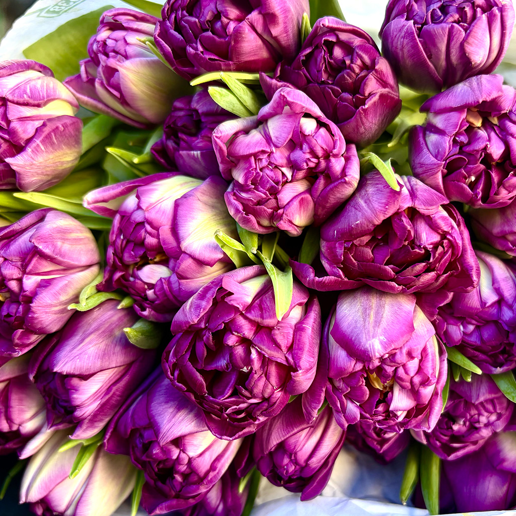 Expressive seasonal arrangement with layered color by Wild Beauty Floral Design