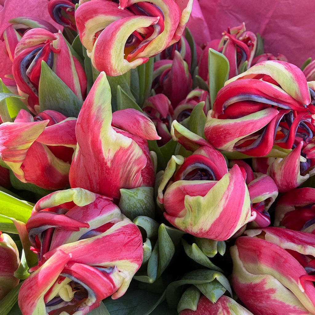 Wild Beauty bouquet with textural greenery by Wild Beauty Floral Design